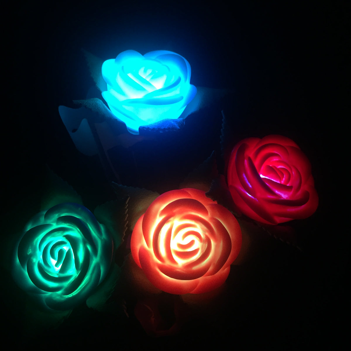 Roses that store light up