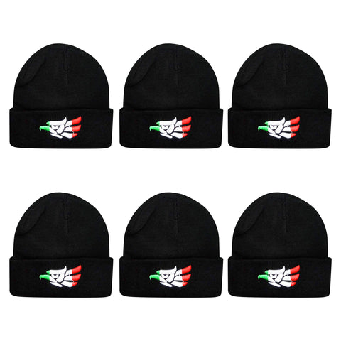 12 piece pack Mexico beanie Winter hat